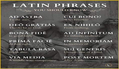 A Profile Of A Latin Beauty